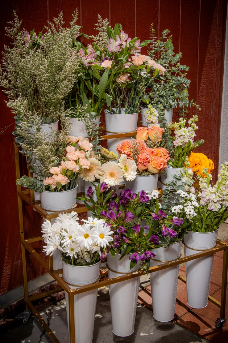 Close up of fresh blooms