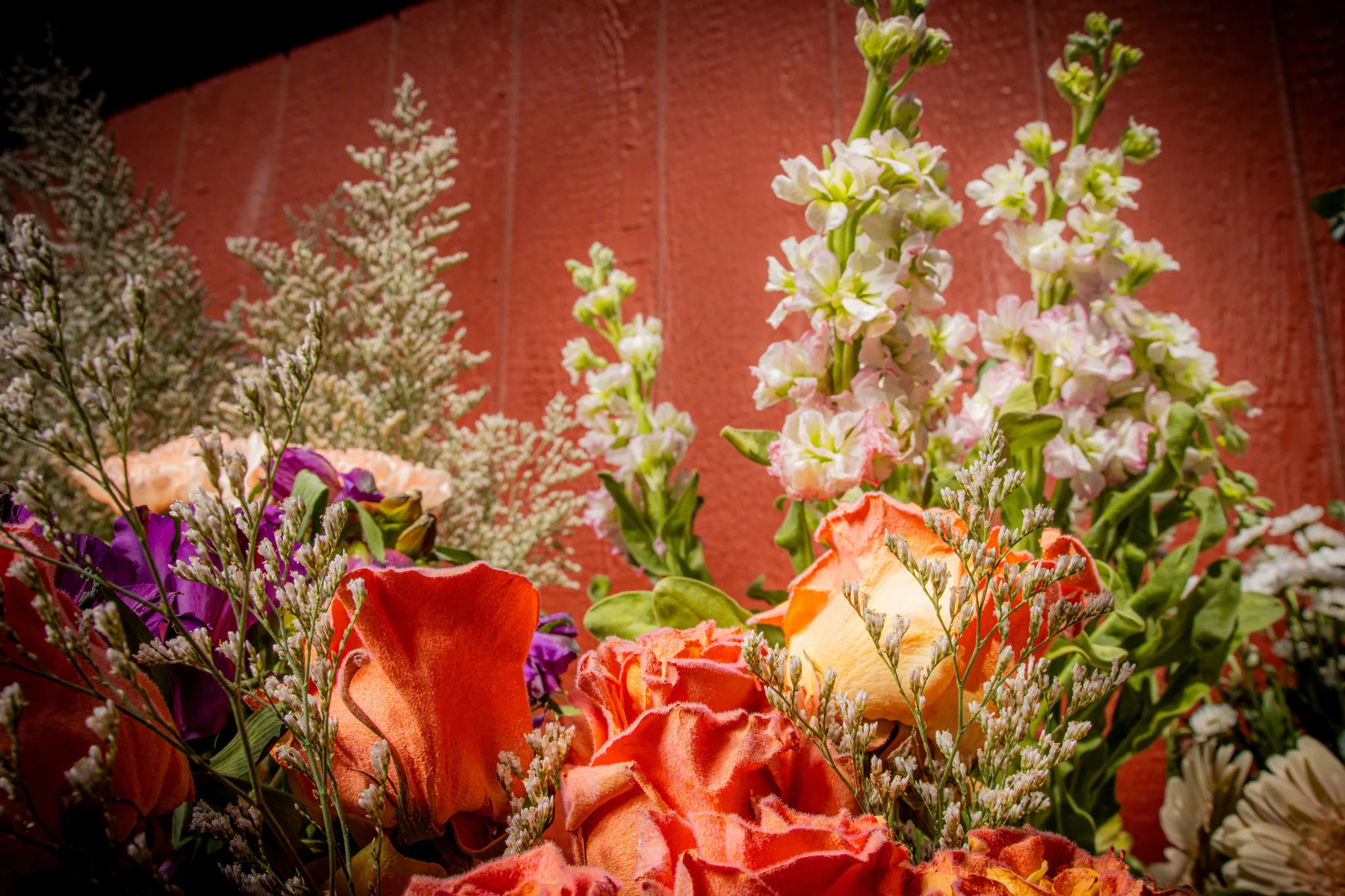Interactive Bloom Bar by Mystic Blooms